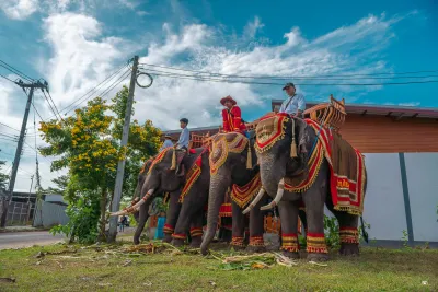 กิจกรรม